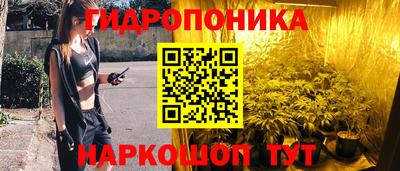 гидропоника Славгород