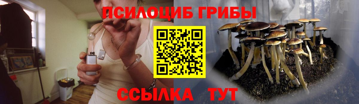 Галлюциногенные грибы Psilocybine cubensis Реж